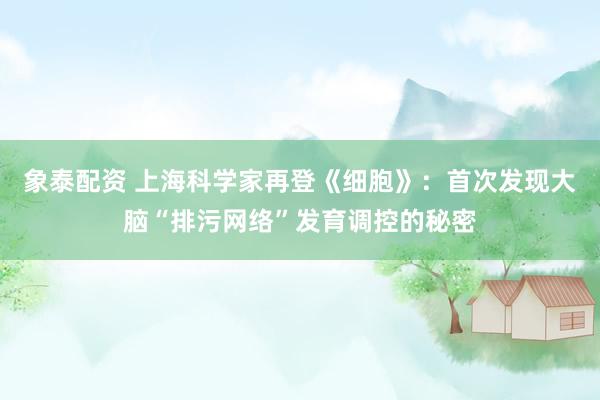象泰配资 上海科学家再登《细胞》：首次发现大脑“排污网络”发育调控的秘密