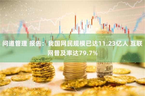 问道管理 报告：我国网民规模已达11.23亿人 互联网普及率达79.7%