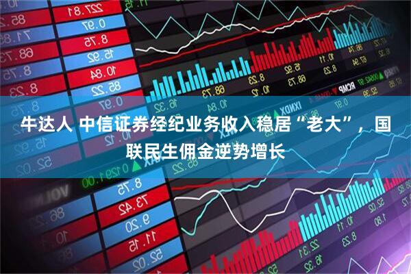 牛达人 中信证券经纪业务收入稳居“老大”，国联民生佣金逆势增长