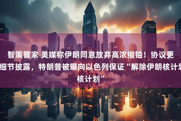 智策管家 美媒称伊朗同意放弃高浓缩铀！协议更多细节披露，特朗普被曝向以色列保证“解除伊朗核计划”